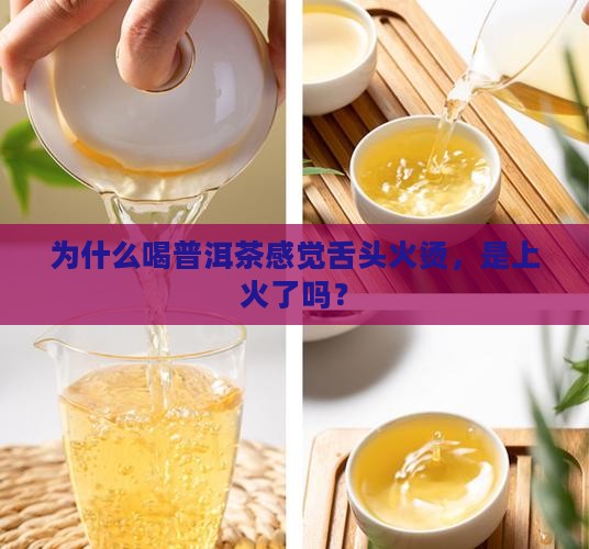 喝普洱茶感觉舌头火烫