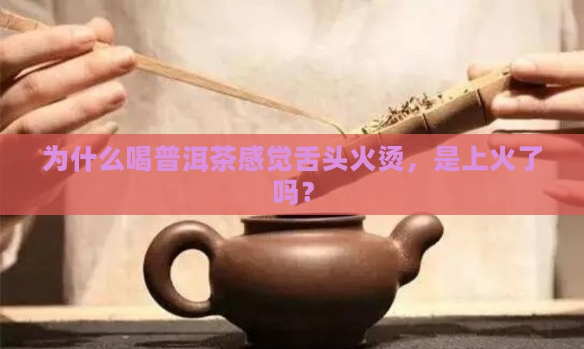喝普洱茶感觉舌头火烫
