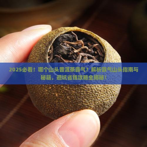 哪个山头普洱茶霸气
