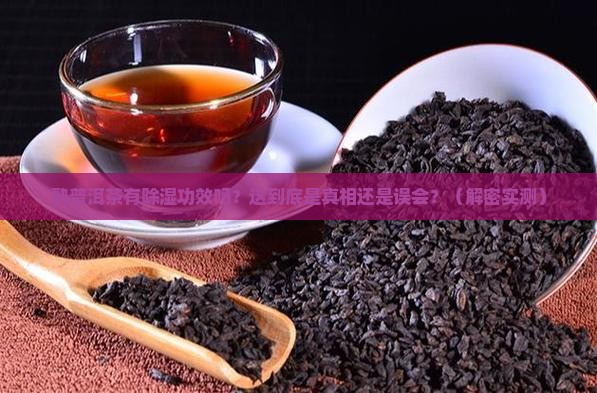 熟普洱茶有除湿功效吗