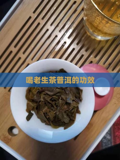 喝老生茶普洱的功效
