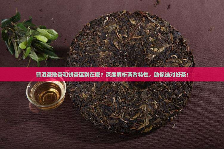 普洱茶散茶和饼茶区别在哪