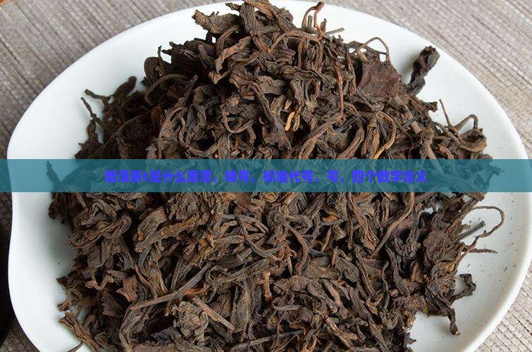 普洱茶t是什么意思