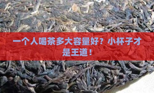一个人喝茶多大容量好