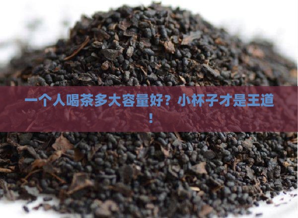 一个人喝茶多大容量好