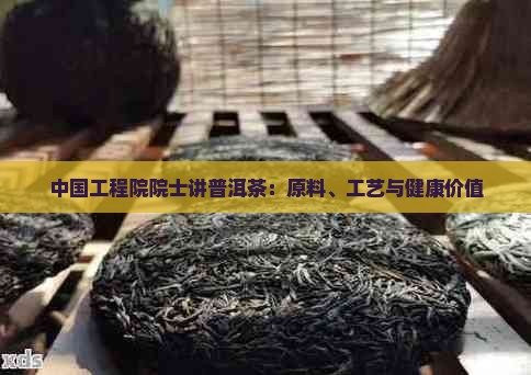 中国工程院院士讲普洱茶