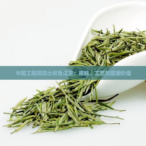 中国工程院院士讲普洱茶