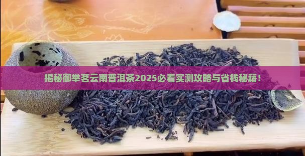 御举茗云南普洱茶