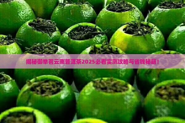 御举茗云南普洱茶