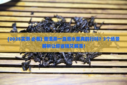 普洱茶能不能一直泡在水里