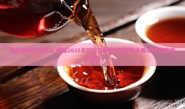 雅安藏茶团结金尖