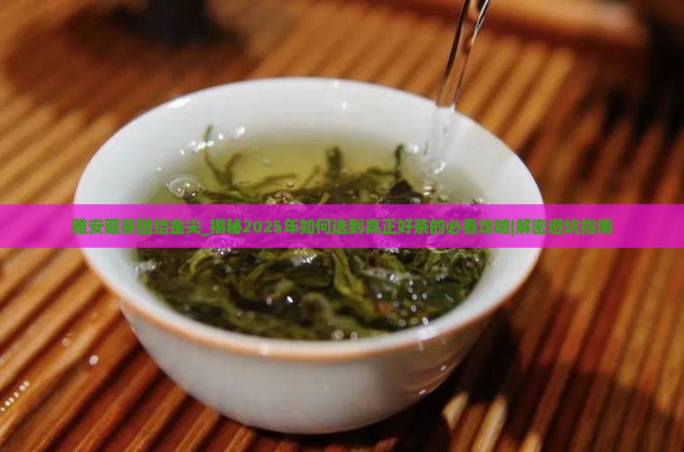 雅安藏茶团结金尖