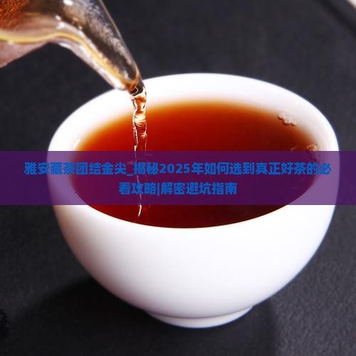 雅安藏茶团结金尖
