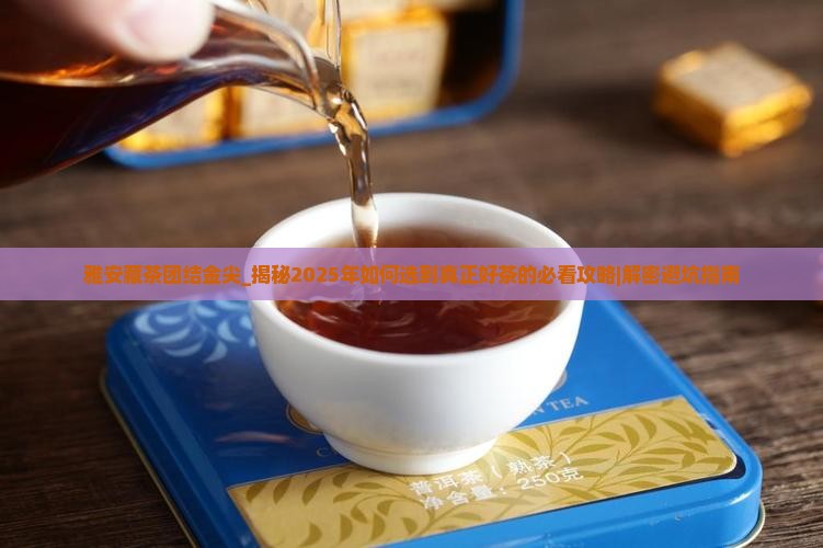 雅安藏茶团结金尖