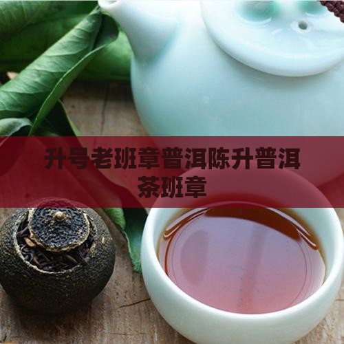 2007陈升号老班章