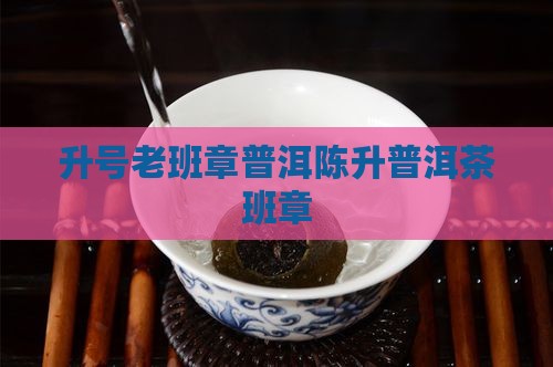 2007陈升号老班章