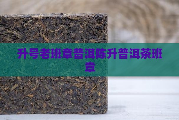 2007陈升号老班章