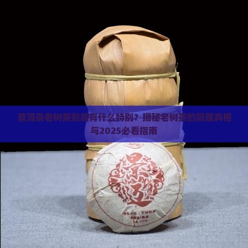 普洱茶老树茶特征