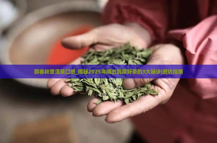 醉春秋普洱茶口感