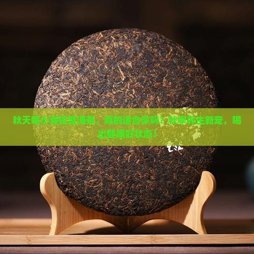 秋天喝小青柑普洱茶