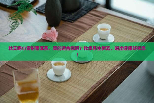 秋天喝小青柑普洱茶