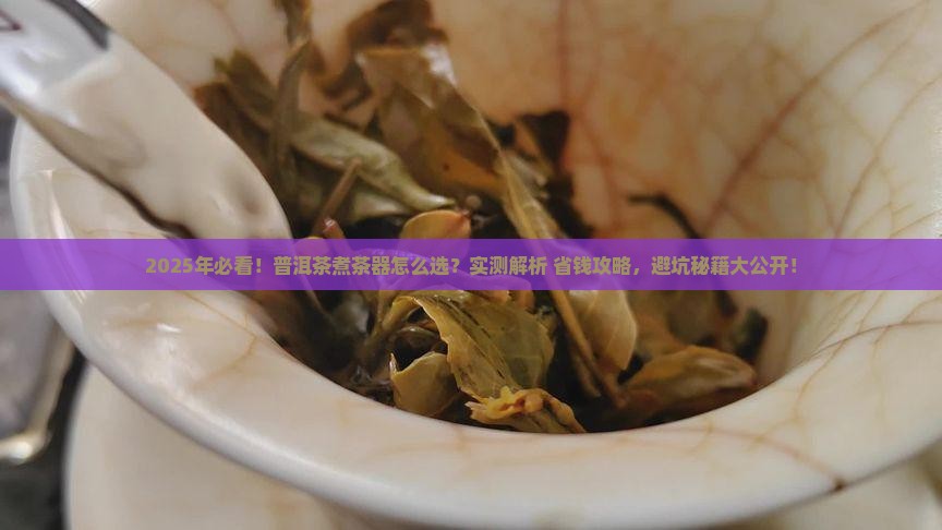 普洱茶用什么煮茶器好