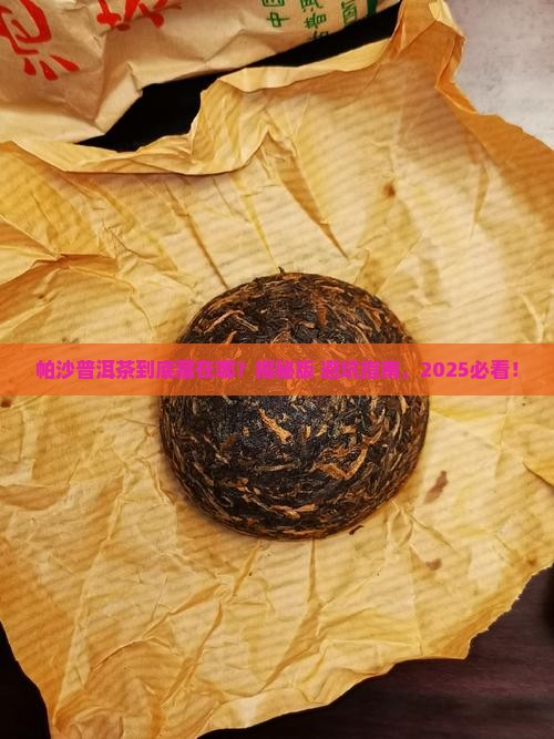 帕沙普洱茶在哪里