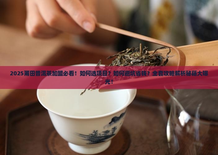 莆田普洱茶怎么加盟的好