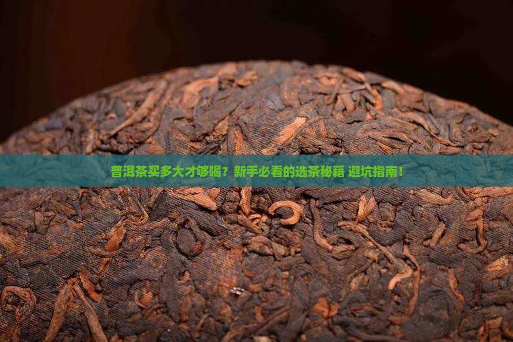 普洱茶买多大的好喝