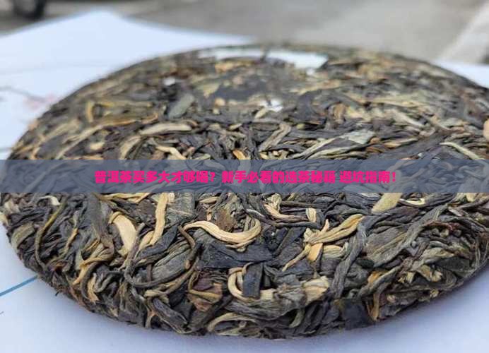 普洱茶买多大的好喝