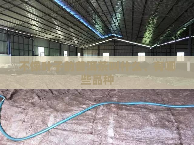 不像叶子的普洱茶