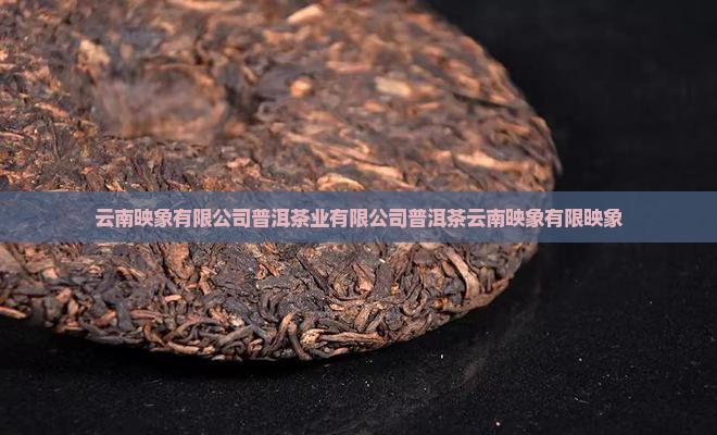 云南普洱茶映象
