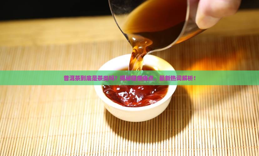 普洱茶是一种茶类吗