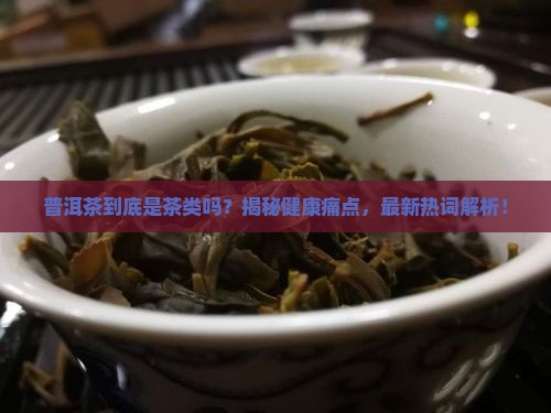 普洱茶是一种茶类吗