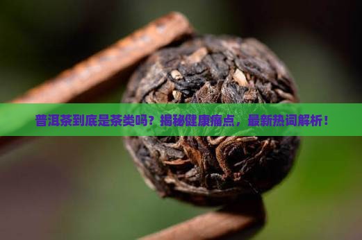 普洱茶是一种茶类吗