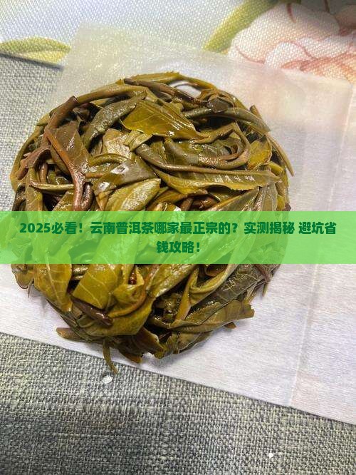 云南普洱茶哪家最正宗的
