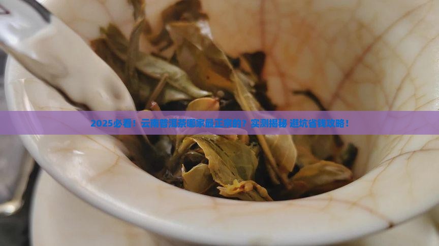 云南普洱茶哪家最正宗的