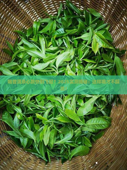 喝普洱茶心率过速