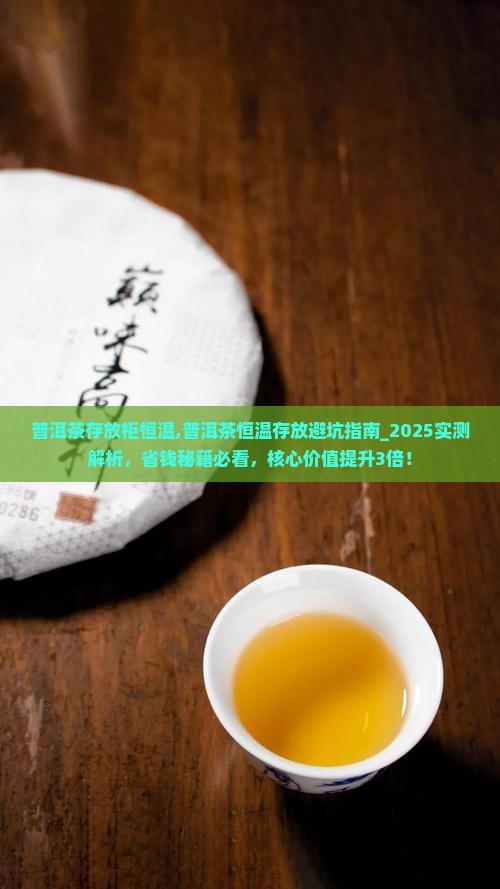 普洱茶存放柜恒温