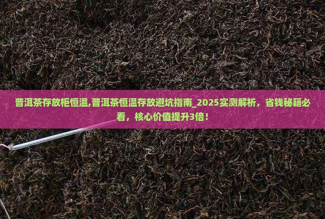 普洱茶存放柜恒温