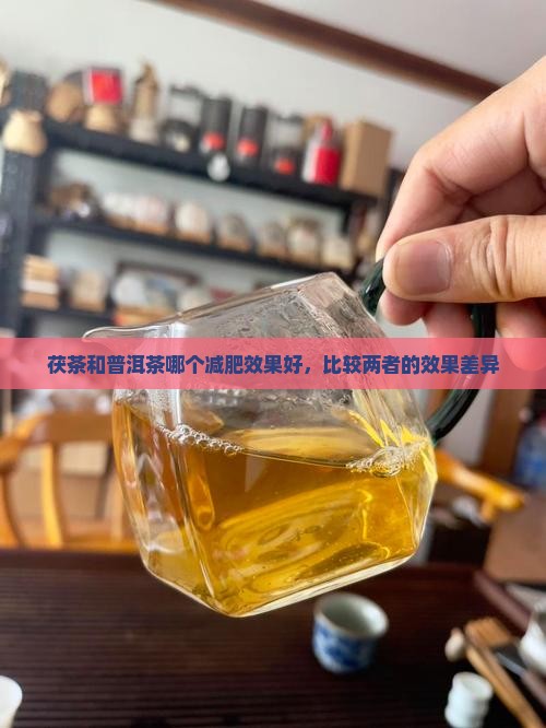 茯茶和普洱茶哪个减肥效果好