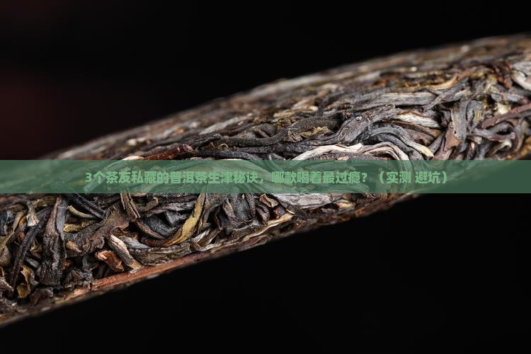 哪款普洱茶生津可口