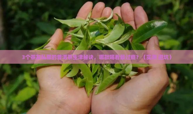 哪款普洱茶生津可口
