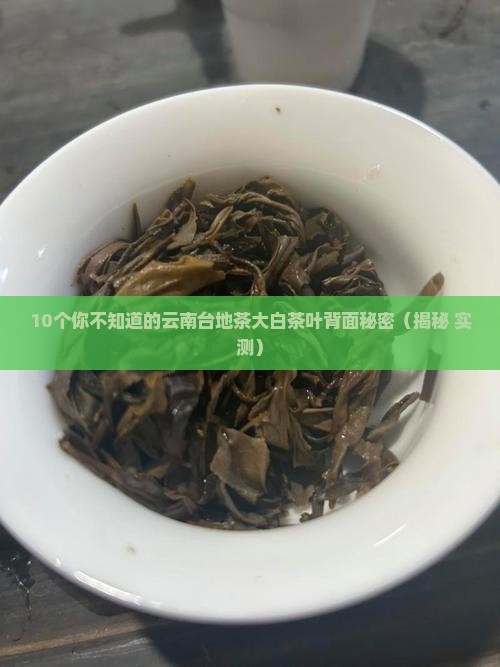 云南台地茶大白茶叶背面
