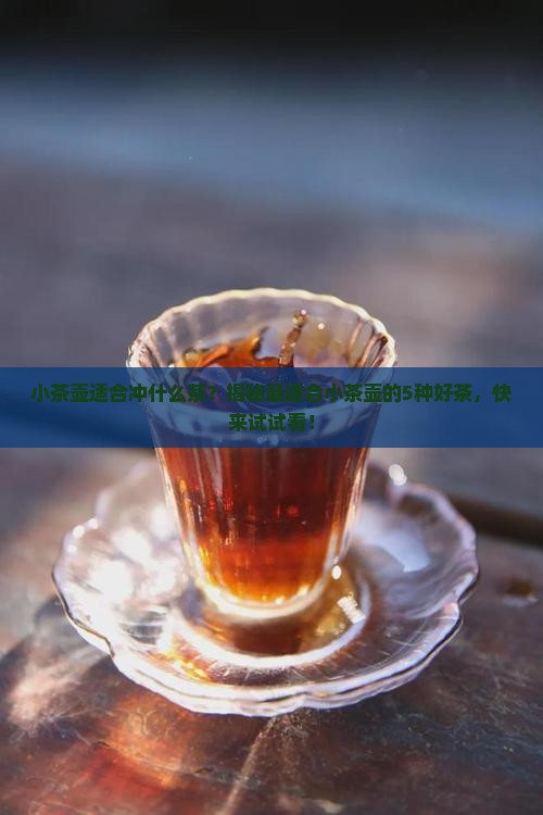 小茶壶适合冲什么茶