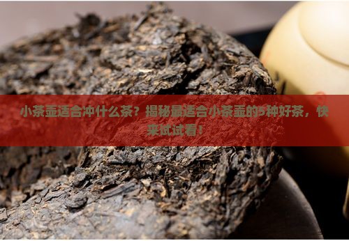 小茶壶适合冲什么茶