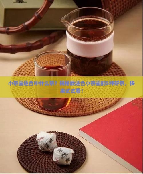 小茶壶适合冲什么茶