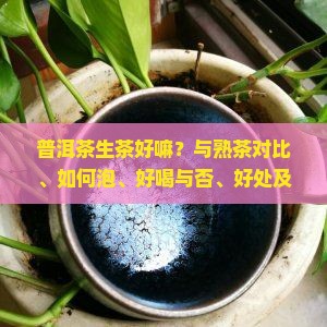 普洱茶生茶好嘛