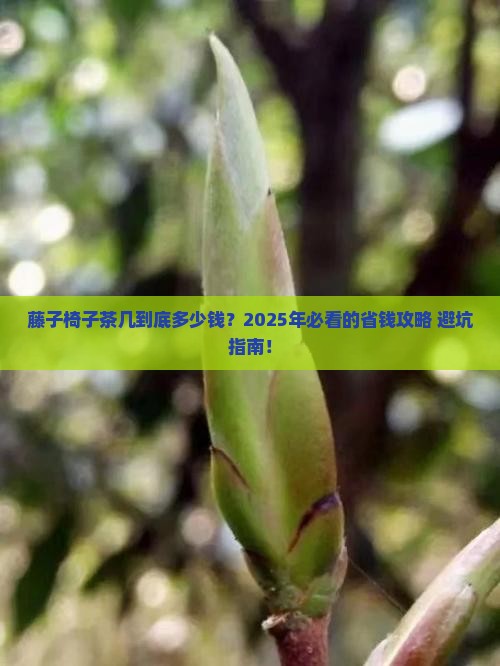 藤子椅子茶几价格