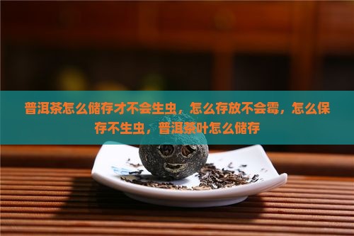 普洱茶怎么储存才不会生虫